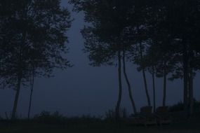tree silhouettes at night in the countryside