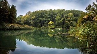 lake in the forest in Slovakia