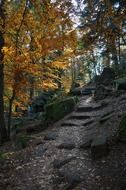 france landscape steps stones