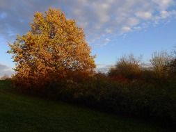 autumn landscape in czech republic