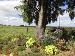 beautiful and delightful france landscape