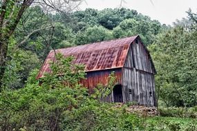 wooden hut in the woods in missouri