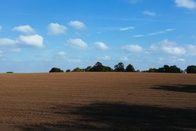 agriculture earth field summer landscape
