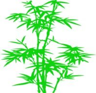 green bamboo plants drawing