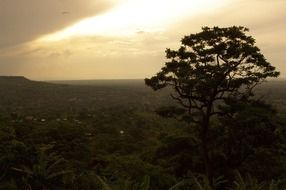 peaceful sunset in Uganda