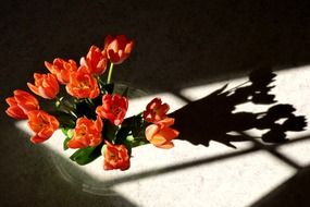 Bouquet of red tulips in a vase in the sun