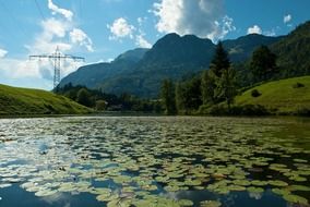 A lake with green leaves near a mountain in Austria