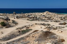 Landscape with the sandy beach