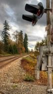 railway traffic lights in the forest