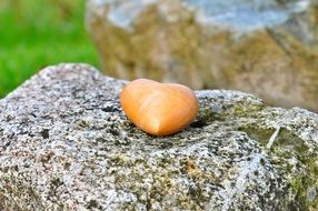 Wooden heart on stone