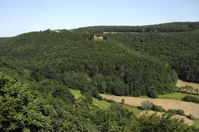 Green Forest in Germany