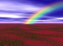 rainbow over red meadow