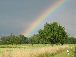 Landscape with the rainbow over the trees