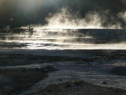 hot spring in Yellowstone National Park, Wyoming