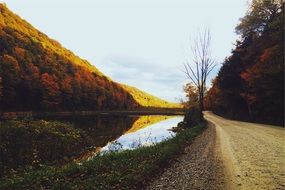country lane road