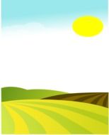 Beautiful and colorful fields under the sun clipart