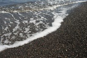 sea coast in summer