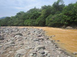 rocks on the shore of a mountain river
