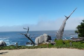 Landscape of pacific coast