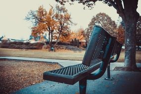 autumn park bench fall leaves