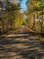 asphalt trail among autumn trees