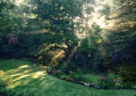 Sunlight in the garden