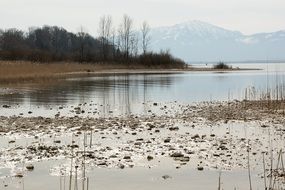 Lake Him is a Lake in Germany