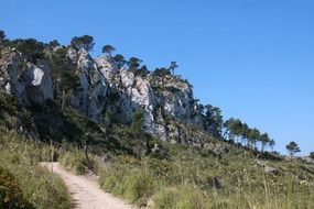 rock with green plants in Mallorca