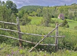 broken hedge in the suburbs of France