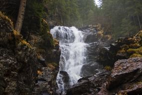 waterfall on the mountain among the forest