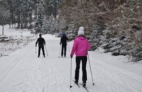 people on ski trail at forest