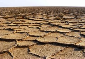 arid land in the desert