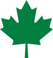 Picture of Green maple leaf