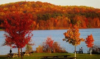 state park autumn in Pennsylvania