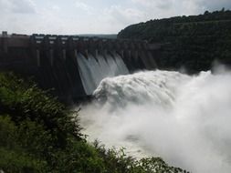 dam on the pond