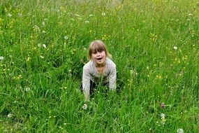 girl in the meadow
