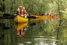 canoe boat on the river