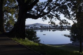 trees park estuary island