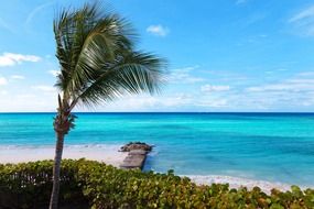 photo of the paradise coast in the Caribbean