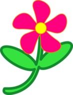 graphic image of a pink daisy