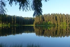 trees are reflected in the calm water of the lake