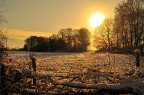 orange evening sun over the winter field