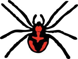 red scary spider drawing