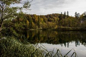 landscape of Plitvice lake, croatia