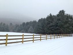 harmony on the farmland in winter