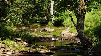 dolly sods wilderness