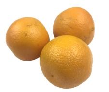 citrus oranges on a white background