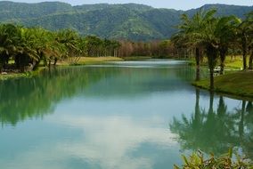 tranquil taiwan river landscape