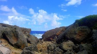 Beautiful and colorful coast with rocks on the ocean landscape