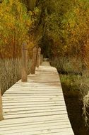 wooden bridge above stream at autumn forest